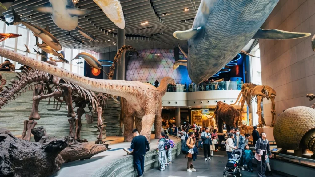 Безплатні дні в музеях та інших цікавих місцях Польщі - UniverPL